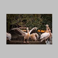2025_03_01_OPEL_Zoo_IMG_5906.jpg